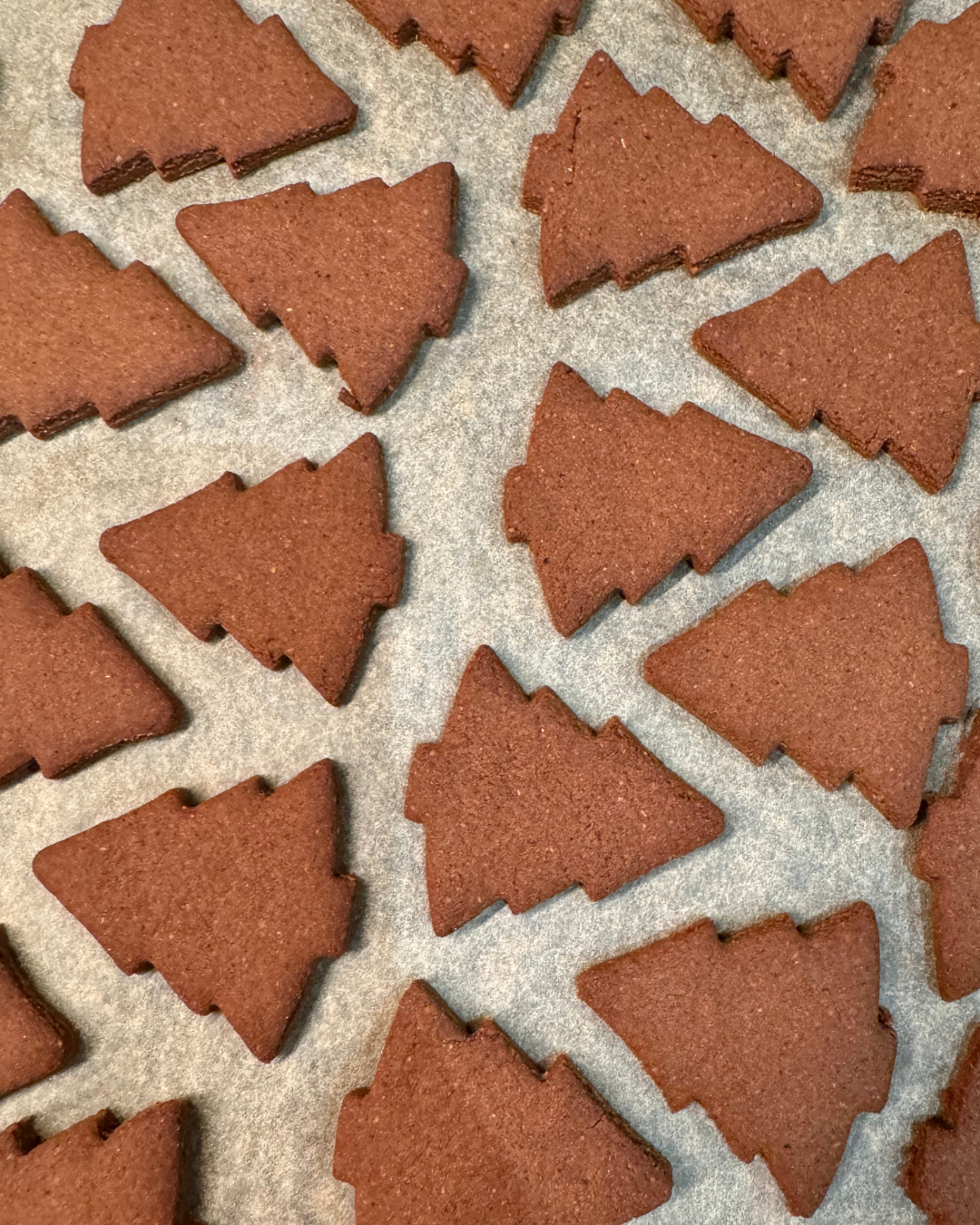 Pierniczki gryczane bez glutenu | 100g